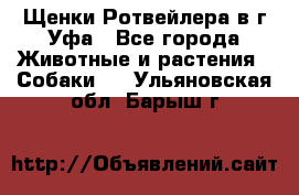 Щенки Ротвейлера в г.Уфа - Все города Животные и растения » Собаки   . Ульяновская обл.,Барыш г.